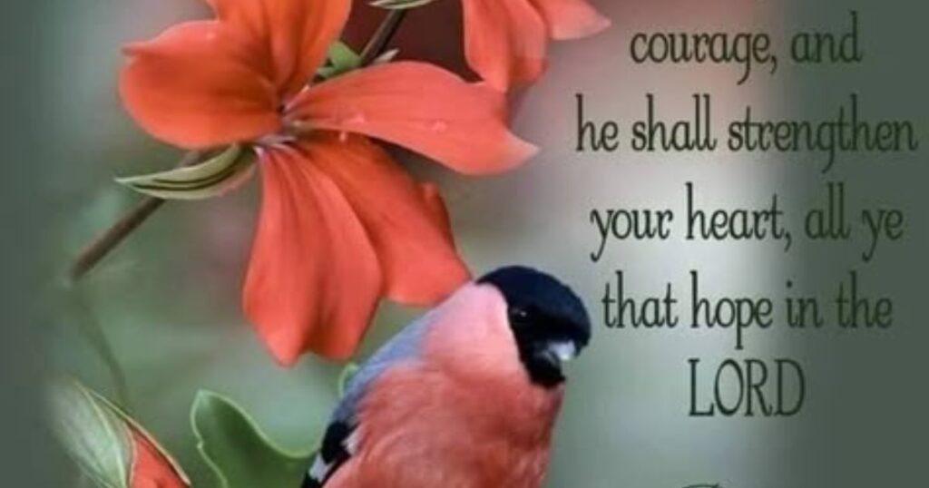 60 Good Morning Wednesday Wishes, Blessings, and Quotes