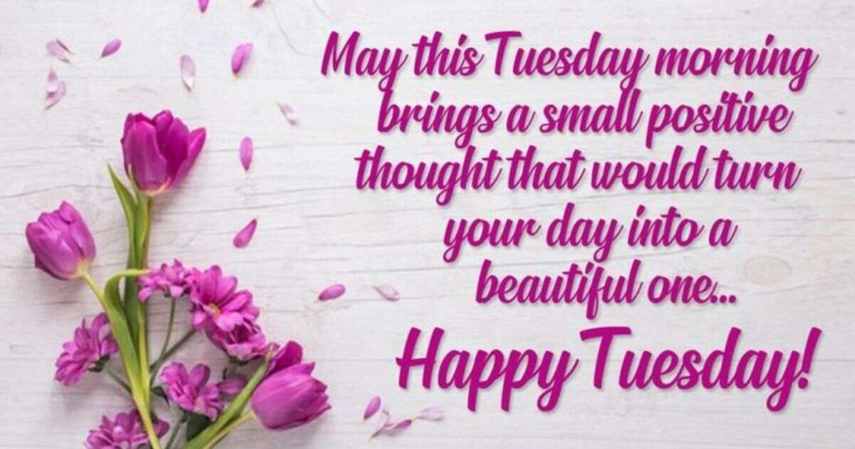 Good Morning Tuesday Quotes, Blessings, and Heartfelt Wishes