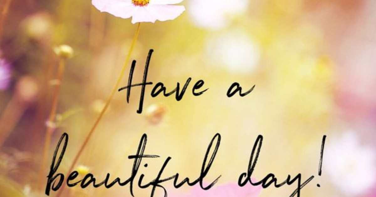 have-a-wonderful-day