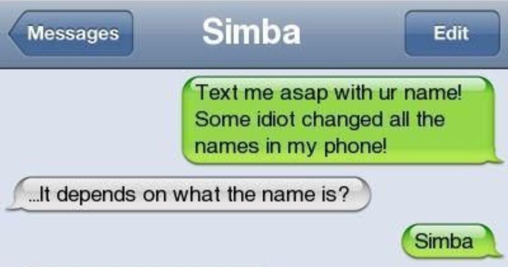 pet-text-funnies
